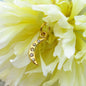 Nocturne Pendant- 14k Gold, Salt and Pepper Diamonds
