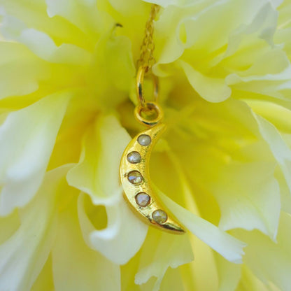 Nocturne Pendant- 14k Gold, Salt and Pepper Diamonds